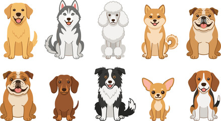 Cute Dog Breeds Cartoon Collection Featuring Golden Retriever Siberian Husky Poodle Shiba Inu Bulldog Dachshund Border Collie Chihuahua and Beagle Vector Illustration © Bokul