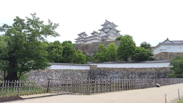 木々の間から見える姫路城の天守