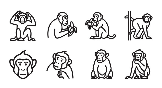 Monkey icons set isolated on white background simple line drawings