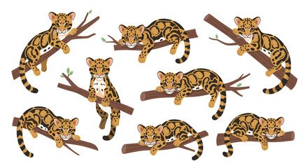 Group of tigers on branches. © Nb