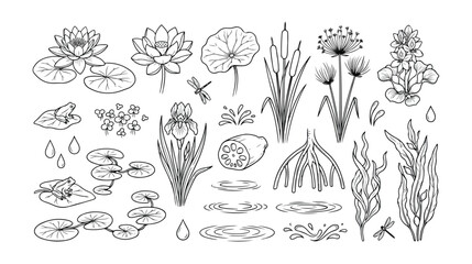 水生植物と池の生き物、睡蓮、カエル、トンボ、水草のモノクロ線画ベクターイラストセット。自然の生態系、池や湖の環境デザインに最適なコレクション。 © Aralan