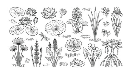 水生植物と水辺の生き物、蓮や睡蓮、カエルやトンボを含むモノクロ線画のベクターイラストセット。自然、生態系、池の表現に最適なデザイン素材。 © Aralan