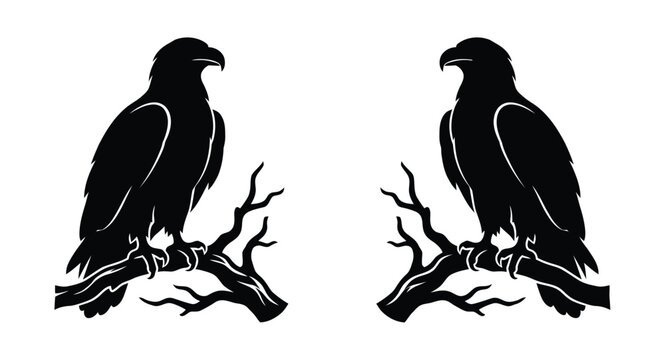 Black silhouette of two eagles sitting on tree branches Vector