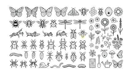 Detailed insect and bug vector icon set, nature-inspired line art collection, garden wildlife and entomology illustrations, black and white outline graphics for educational or design projects © Joe