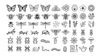 Nature and Garden Line Art Vector Icon Set, 60+ Detailed Black and White Insect, Butterfly, Bee, and Plant Icons, Minimalist Outline Collection for Digital Design and Educational Resources © Joe