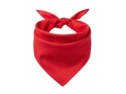 Red bandana fabric with bow detail