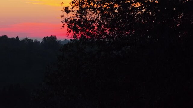 Vibrant sunset sky above dark forest in Placerville California, aerial ascend with yellow orange red gradient sky