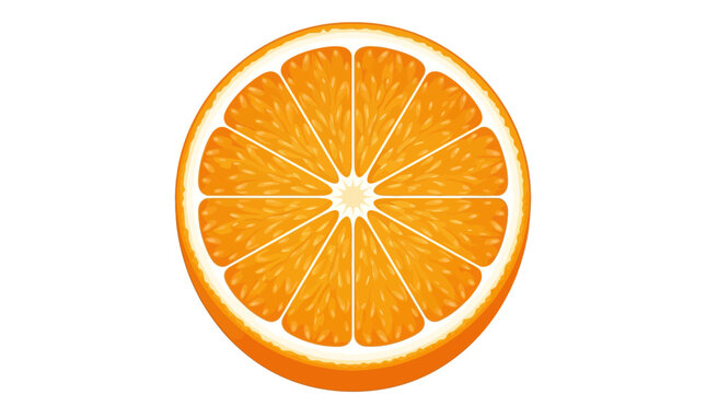 Orange slice, citrus fruit, vector illustration, vibrant orange