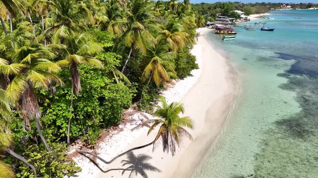 secluded white sand beach spit shaded by bending coconut palm trees next to shallow turquoise sea waters at Pigeon Point, Trinidad and Tobago.