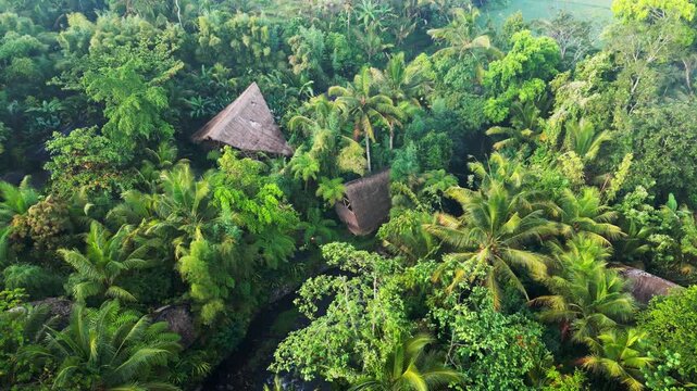 Wooden traditional houses in dense tropical jungle near river, surrounded by lush greenery and palm trees in secluded forest resort setting Indonesia, aerial drone footage