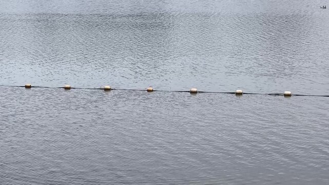 Floating buoys marking a line across calm water