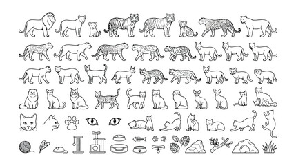 Big Cats and Domestic Felines Vector Collection, Hand-Drawn Outline Illustrations of Wild Animals and Pet Cats, Detailed Line Art for Animal-Themed Designs and Educational Resources © Haseeb's Work