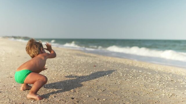 Kid collects shells and pebbles in the sea on a sandy bottom under the summer sun on a vacation