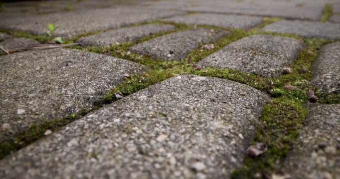 sliding above dirty paving blocks covered with moss