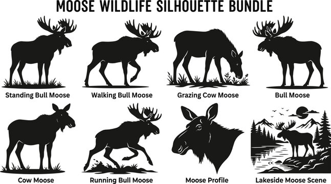 Moose Wildlife Silhouette Vector Bundle Featuring Bull and Cow Poses Head Profile and Lakeside Forest Scenes