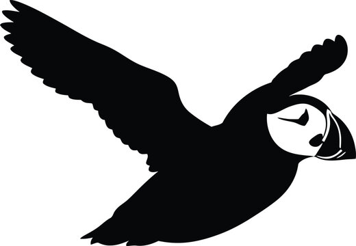 Flying Puffin Silhouette Icon, Black Atlantic Puffin Seabird Vector Graphic, Bird in Flight Symbol, Isolated Minimalist Arctic Wildlife Design for Logos, Web Design, and Creative Projects.