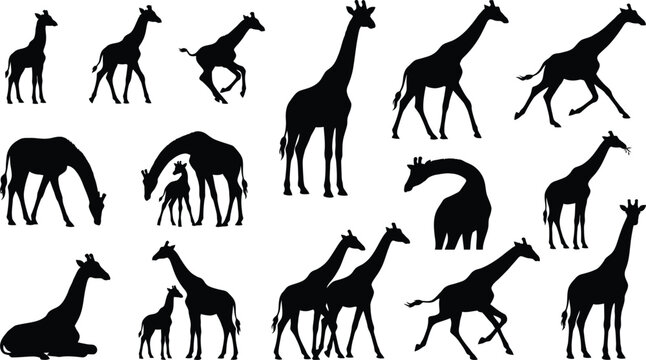 Black and white of various animals walking in a row silhouettes