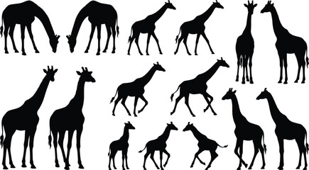 Black silhouettes of various animals including giraffe, elephant, lion, rhino, and zebra in a row © Graphic Shops