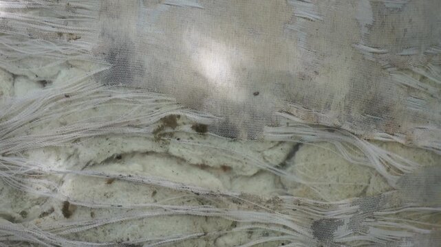 Close-up of damaged torn fabric upholstery showing worn threads and exposed inner foam cushion with panning movement