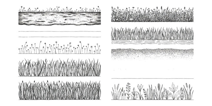 Set of hand drawn grass and meadow flower borders for nature design elements