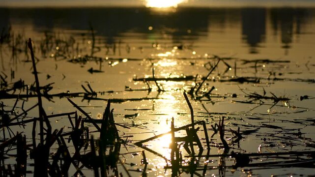 reflection of the sunset on the river