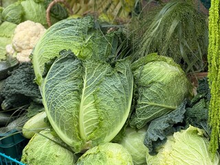 Fototapeta premium Cabbage and cauliflower assortment at farmers market showcasing fresh produce and healthy eating