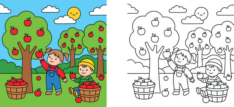 Kids picking apples in orchard coloring page and color vector illustration. Children harvesting red apples with basket. Educational activity sheet for school worksheet.