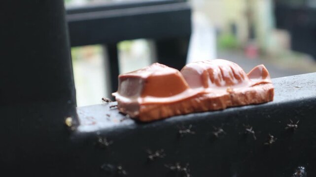 Disposable plastic food container resting on a dark outdoor fence rail.