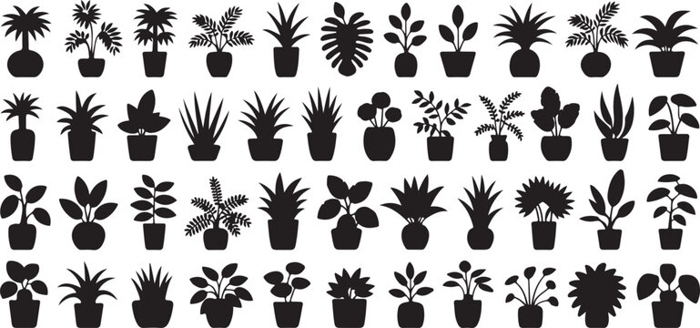 Collection of various potted house plants silhouettes for home interior decor projects featuring different decorative green foliage.