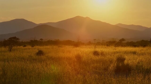 Golden sunset over vast grassy plains and distant mountains in this tranquil nature video motion footage