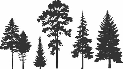Black Silhouette Of Coniferous And Deciduous Trees On White Background © Indira