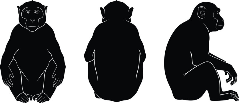 Black silhouettes of a chimpanzee sitting in front back and side profile views