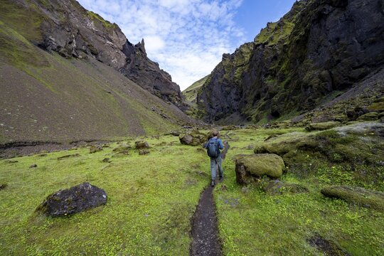 Hiking trail through a green moss-covered gorge, enchanted volcanic landscape, Pakgil, Iceland