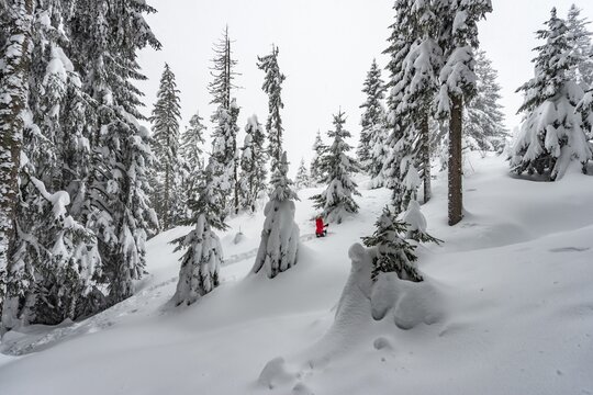 Young woman standing in deep snow, hiking in winter, deep snow in the forest, Brixen im Thale, Tyrol, Austria