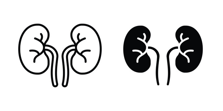 Kidneys icon. Graphic elements vector design.