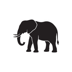 Fototapeta premium Black silhouette of a walking african elephant with tusks in profile, isolated on a clean white background, simple