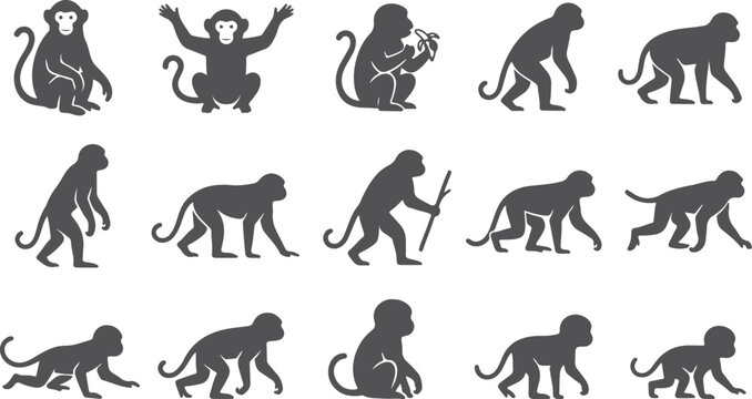 Assortment of primate silhouettes showcasing different species and actions including sitting standing and climbing for educational use.