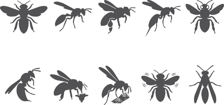 Detailed insect silhouettes depicting various bees in flight and on flowers useful for nature and summer themed graphic design projects.