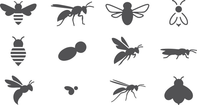 Collection of flying insect vector silhouettes including bees wasps and flies on transparent background for design and illustration.