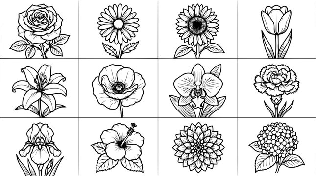 Floral Illustration Set of Black and White Line Art Flowers with Stems, Leaves, and Ornamental Petals, Isolated on White Background