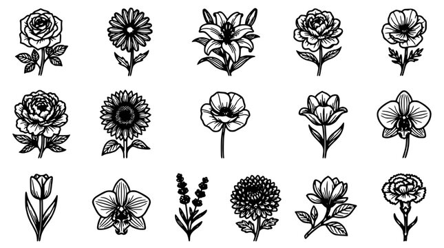 Flower Line Icons Set with Roses, Daisies and Blossoms, Black Outline on White Background, Botanical Illustration Pack