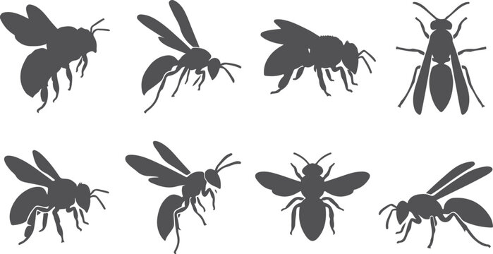 Collection of bee and wasp silhouettes flying with wings spread showing detail of insect anatomy and body in flight against checkered background.