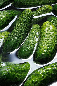 Soaking fresh cucumbers in water during the pickling process, close-up. 