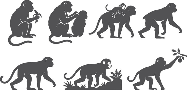 Group of monkey silhouettes in various actions like eating grooming carrying young for primate or jungle themes.