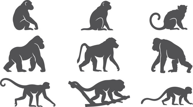 Monkey silhouettes various species and poses isolated on transparent background.