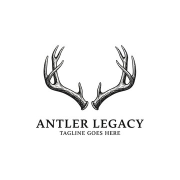 Hand-drawn antler legacy logo with rustic deer horn illustration.