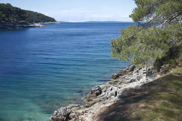 Fototapeta premium Coastal Croatia, deep blue sea with rocky coastline and green pine trees, island of Lošinj, Adriatic Sea