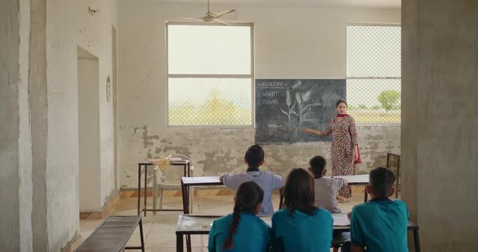 Indian young adult female teacher teach lesson show plants hold stick point on board class room rural area place tutor woman talk speak do study work girl boy child read learn diagram wheat crop parts