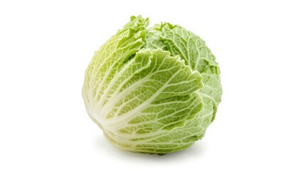 Fototapeta premium Isolated white background with crisp, flavorful Chinese cabbage.