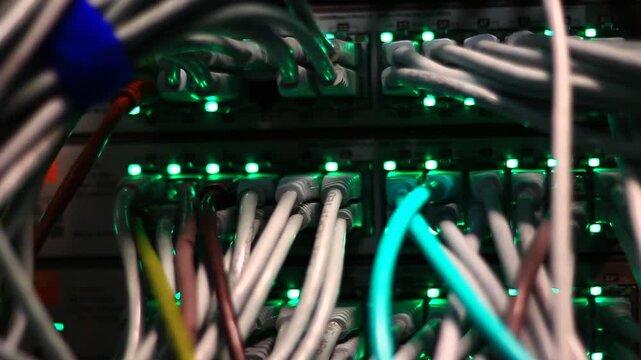 Ethernet cables close up. 10/100/1000 Mbps speed. 